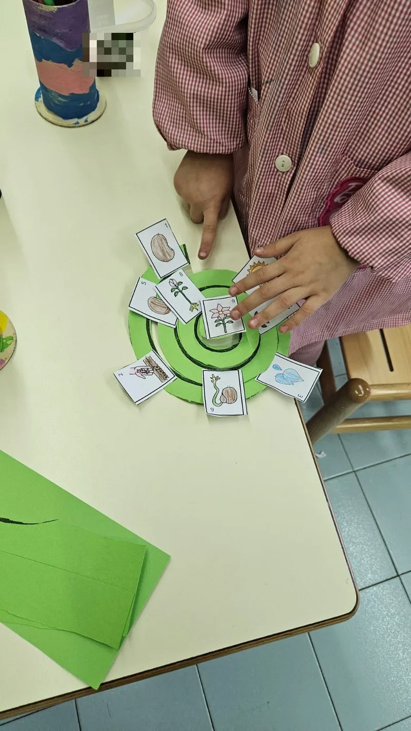 Bambina che ordina le carte del ciclo di vita di una pianta su una spirale di cartoncino.